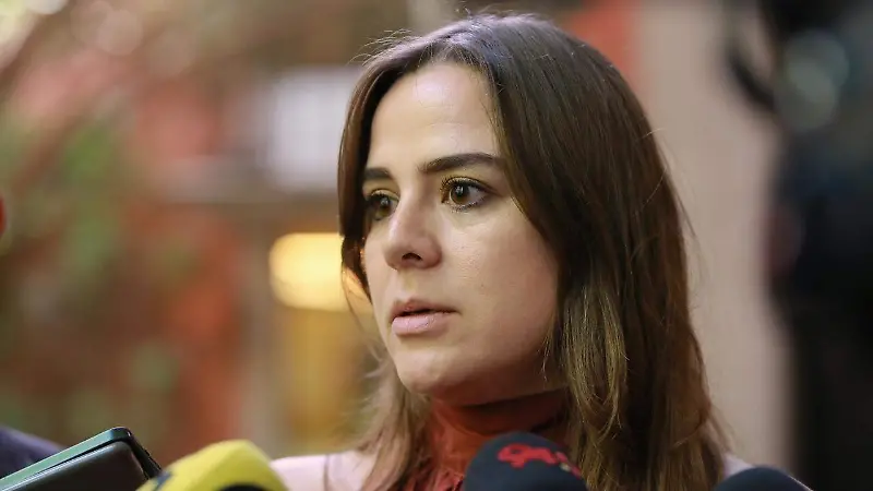 Ana Victoria Sánchez Soto, presidenta del Consejo Local Benefactor Teletón Durango